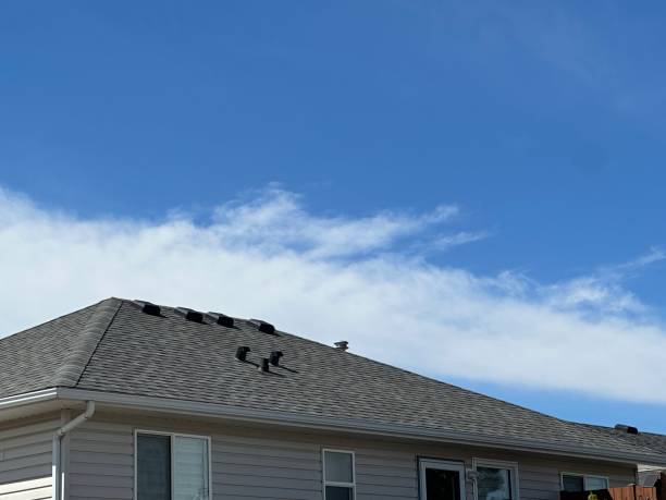 Best Cold Roofs  in Hazleton, PA
